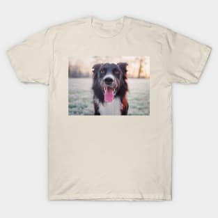 Overjoyed border collie T-Shirt